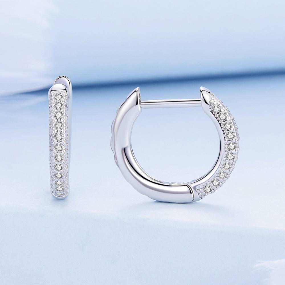 Cercei din Argint Diamonds Art