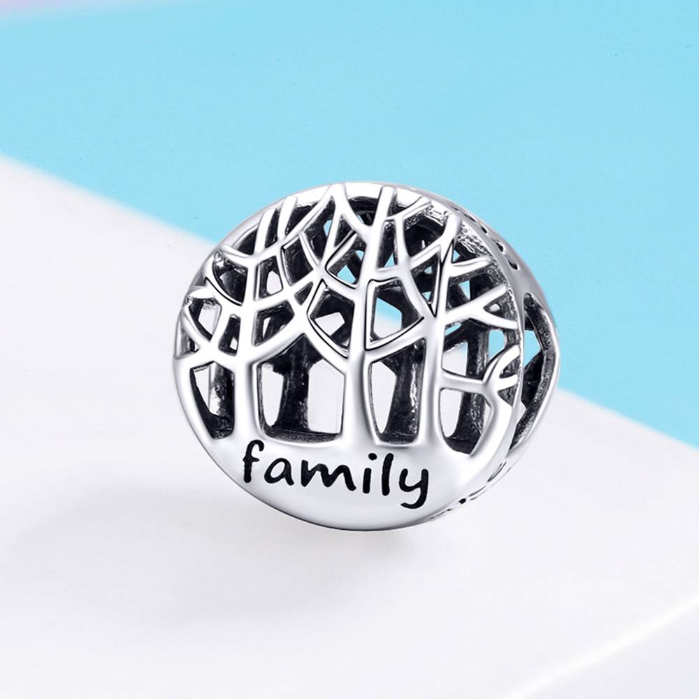 Talisman din Argint Family