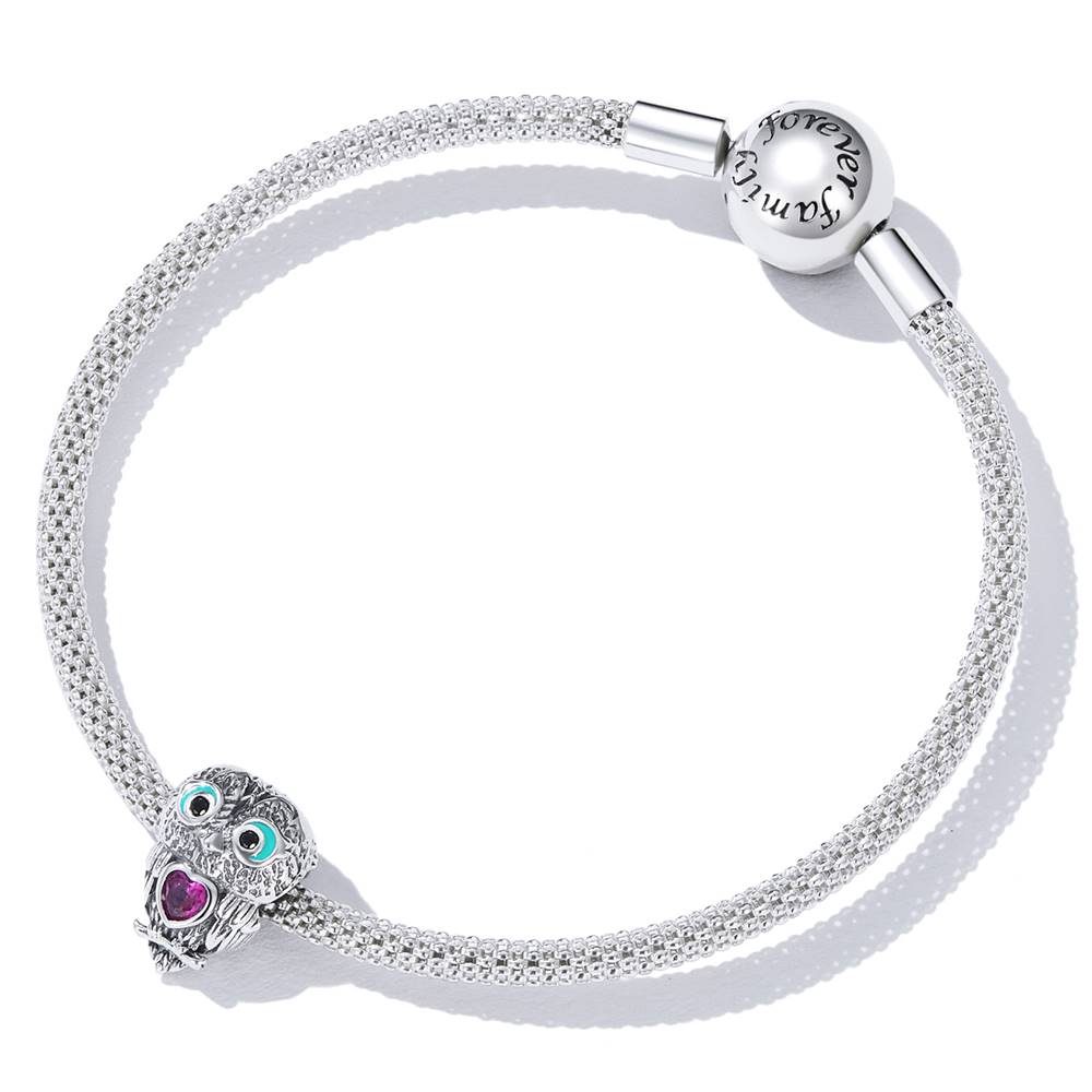 Talisman din Argint Cute Owl