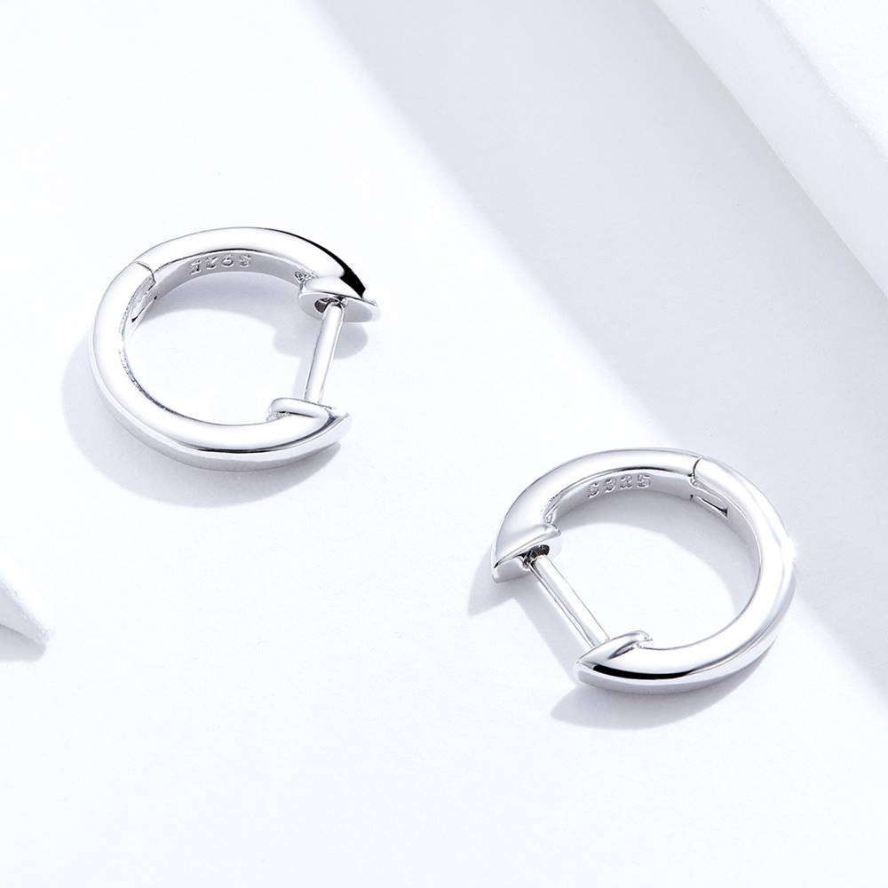 Cercei din Argint Plain Silver