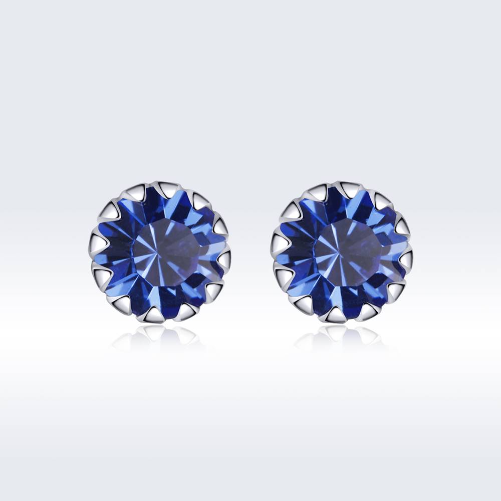 Cercei din Argint Simple Blue Diamond