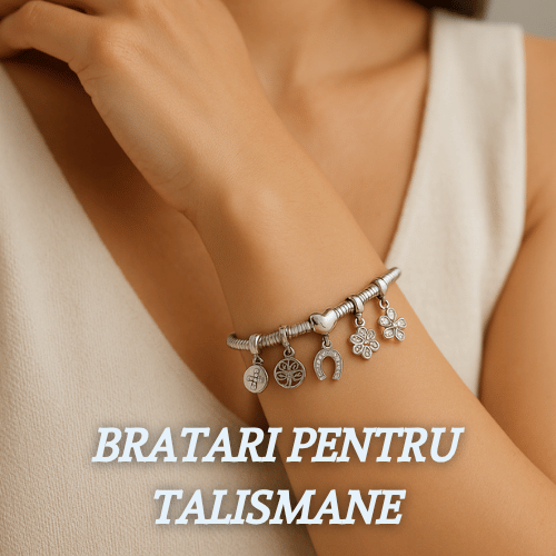 bratari pentru talismane din argint pentru femei cesini
