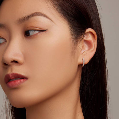 Cercei din Argint Diamonds Art