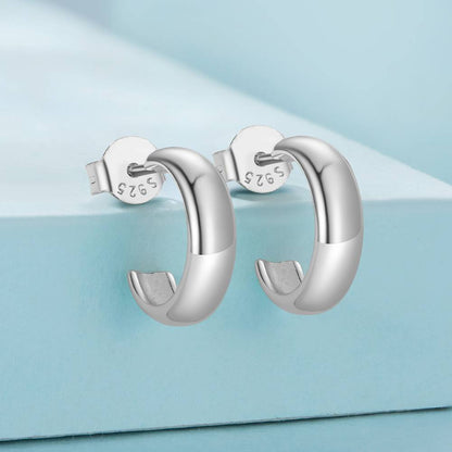 Cercei din Argint Simple Silver