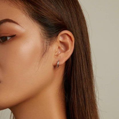 Cercei din Argint Snake Ear Buckles