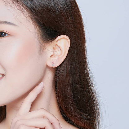 Cercei din Argint Round Zircon