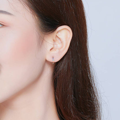 Cercei din Argint Round Zircon