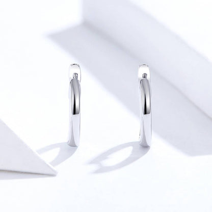 Cercei din Argint Plain Silver